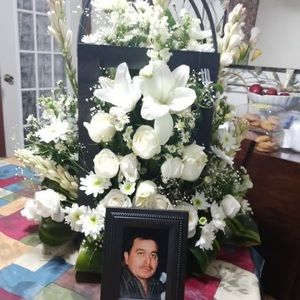 Meet your Posher, Norma